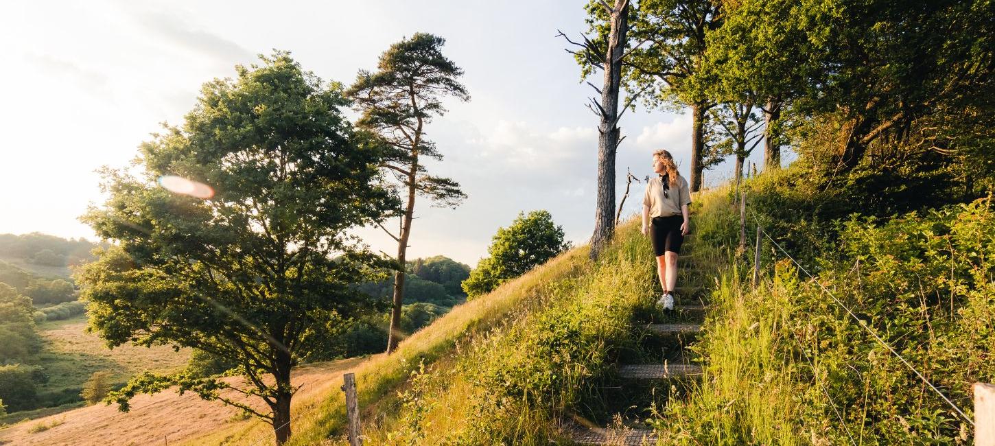 En person går tur ved Runkenbjerg i Egtved Ådal