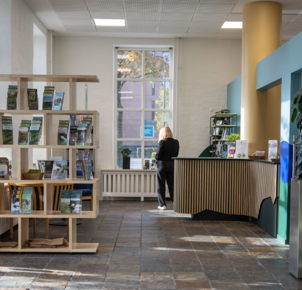 Sollys ind i det nye turistbureau